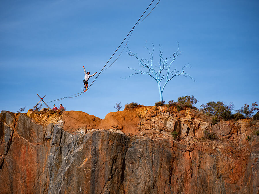 Have you seen your backyard?