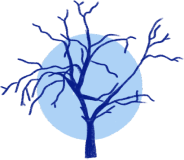 Blue Tree Project Story & Workshop