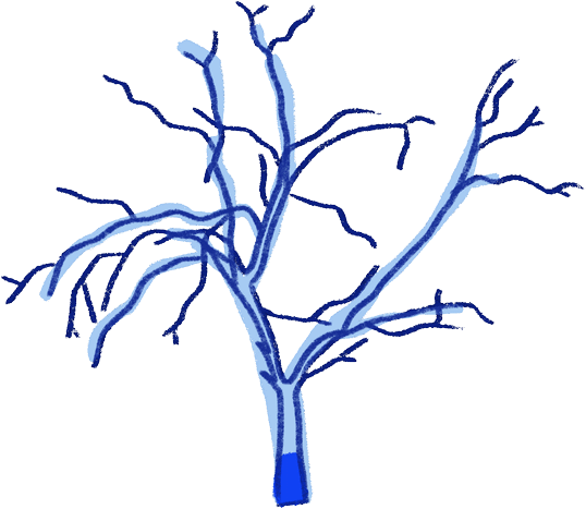 trees-registered-so-far