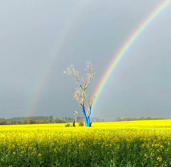 guide to get you inspired.