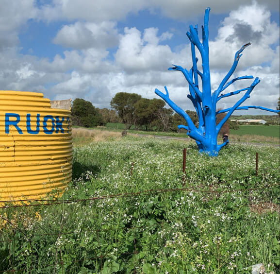 mission and cause worldwide