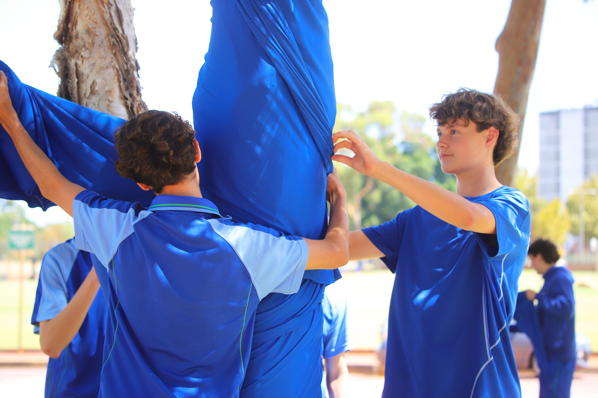 334973060_916197966323940_5032595210406514315_n