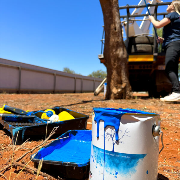 Paint & Paint Supplies