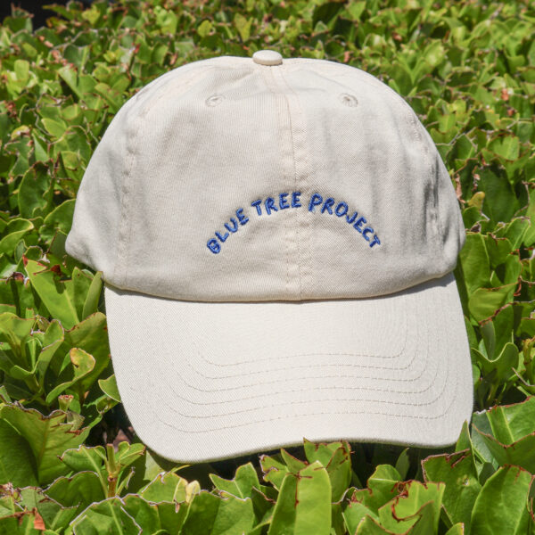 Blue Tree Project cap in a classic black design with embroidered blue tree logo on the front, shown on a neutral background. A casual, unisex cap supporting mental health awareness