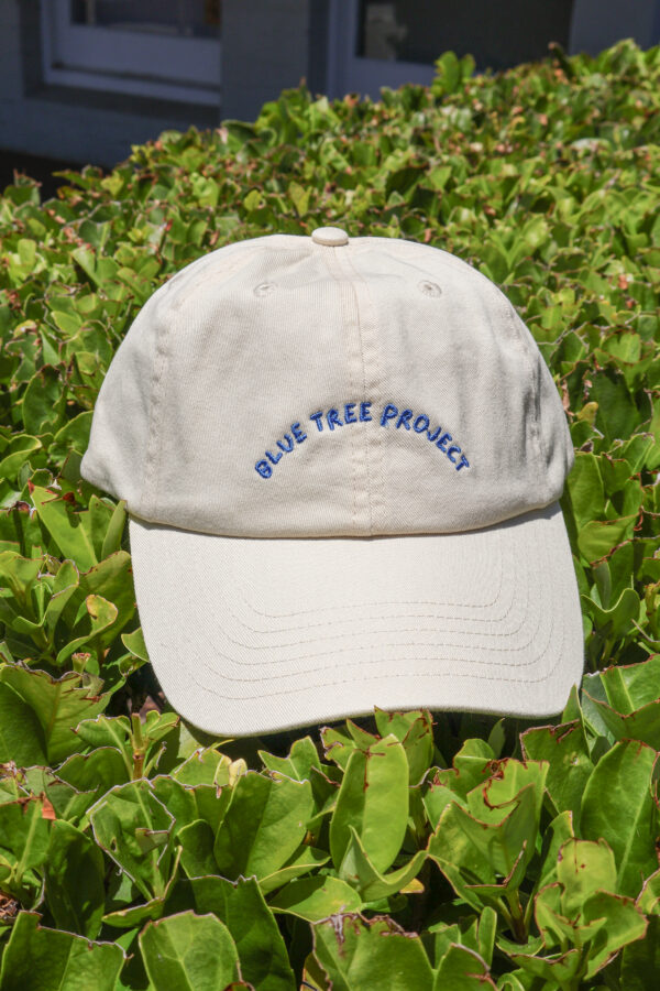 Blue Tree Project cap in a classic black design with embroidered blue tree logo on the front, shown on a neutral background. A casual, unisex cap supporting mental health awareness